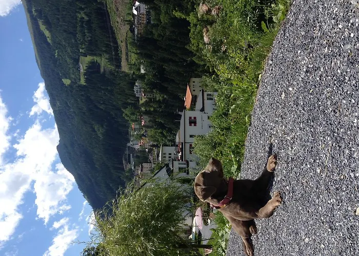 アパート Behrens *